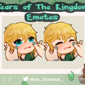 Zelda: Tears Of The Kingdom Link emote