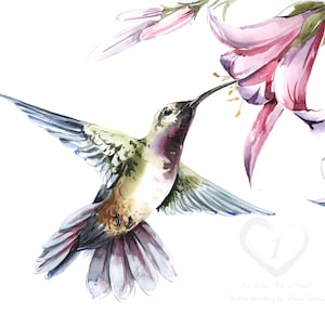 Colibrì Dipinto ad acquerello originale fatto a mano