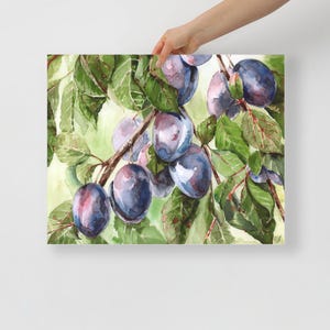 Póster impreso en papel con la acuarela original "Ciruelas n.º 2" pintada a mano por Olena Shestovska.