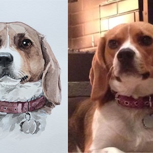 May include: Watercolor painting of a beagle dog with brown and white fur. The dog is wearing a pink collar with a silver tag.