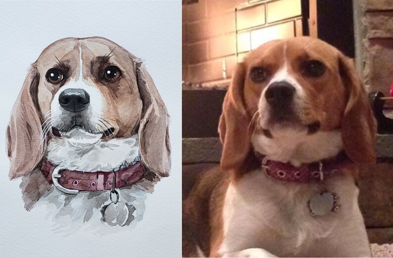 May include: Watercolor painting of a beagle dog with brown and white fur. The dog is wearing a pink collar with a silver tag.