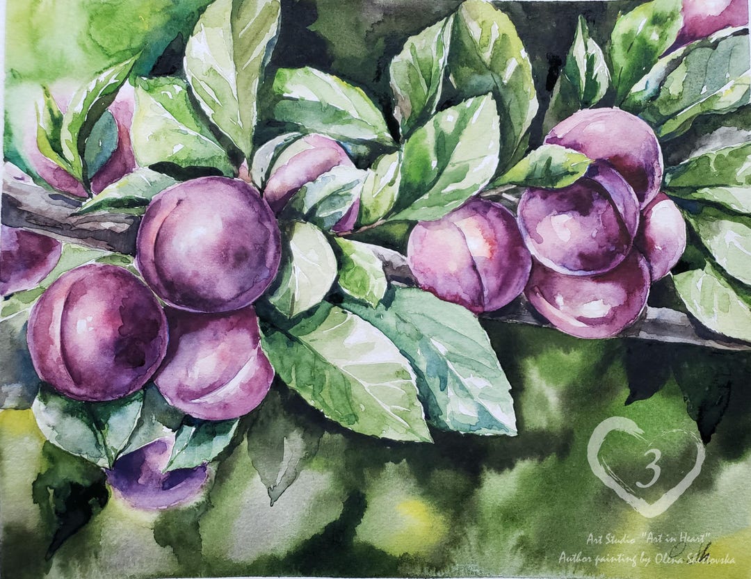 Plums Original Watercolor Painting - Main Image