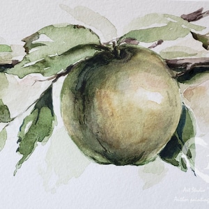 Apples Original Watercolor Painting Handmade