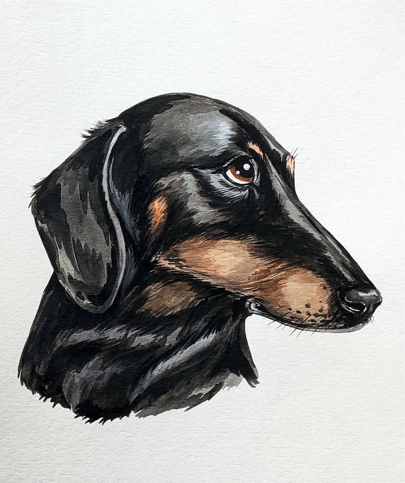 May include: Watercolor painting of a black and tan dachshund looking to the right. The dog has a black nose and brown eyes.