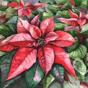 ポインセチアの花のオリジナル水彩画 ハンドメイド 11х15インチ
