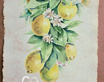 May include: Watercolour painting of lemons on a branch with green leaves and small white and pink flowers. The painting is on textured paper with the text "ArtinHeartStudio Original Paintings by Olena Slesareva" and a heart with the number 1.