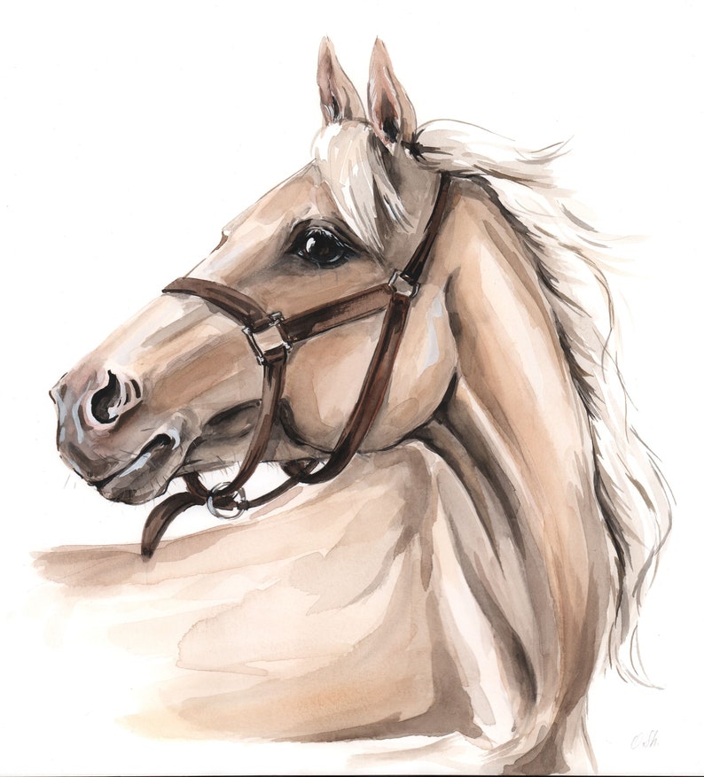 May include: Watercolor painting of a light brown horse with a brown leather halter. The horse is looking to the left and has a long, flowing mane.