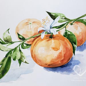 Tangerines Original Watercolor Painting Handmade 11х14&quot;