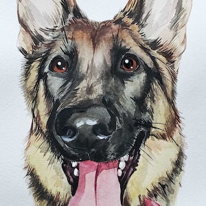 May include: Watercolor painting of a German Shepherd dog with brown and black fur. The dog is looking directly at the viewer with its tongue sticking out. The dog has a red collar with a silver tag.