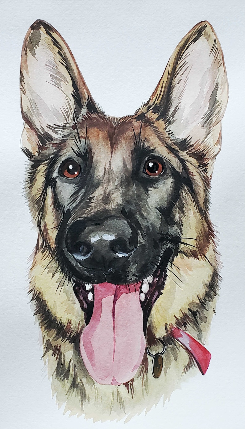May include: Watercolor painting of a German Shepherd dog with brown and black fur. The dog is looking directly at the viewer with its tongue sticking out. The dog has a red collar with a silver tag.