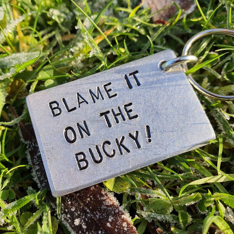 May include: A rectangular silver keychain with the text "BLAME IT ON THE BUCKY!" in black, attached to a silver ring. The keychain is set against a backdrop of green grass.