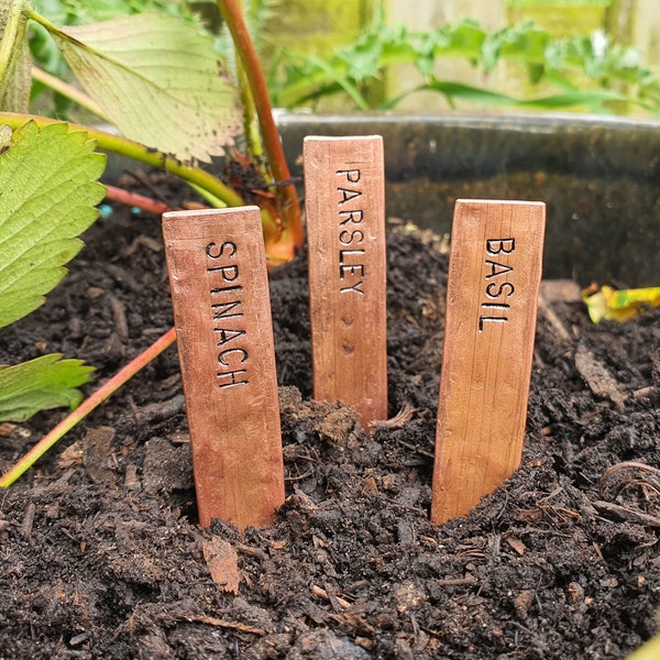 Set von 3 personalisierten Kupfer Pflanzenmarkern Stakes Wählen Sie Ihre eigenen Pflanzen Kräutername Handgestempelt Gartenarbeit Gärtner Geschenke Topfpflanzen Veg Garden