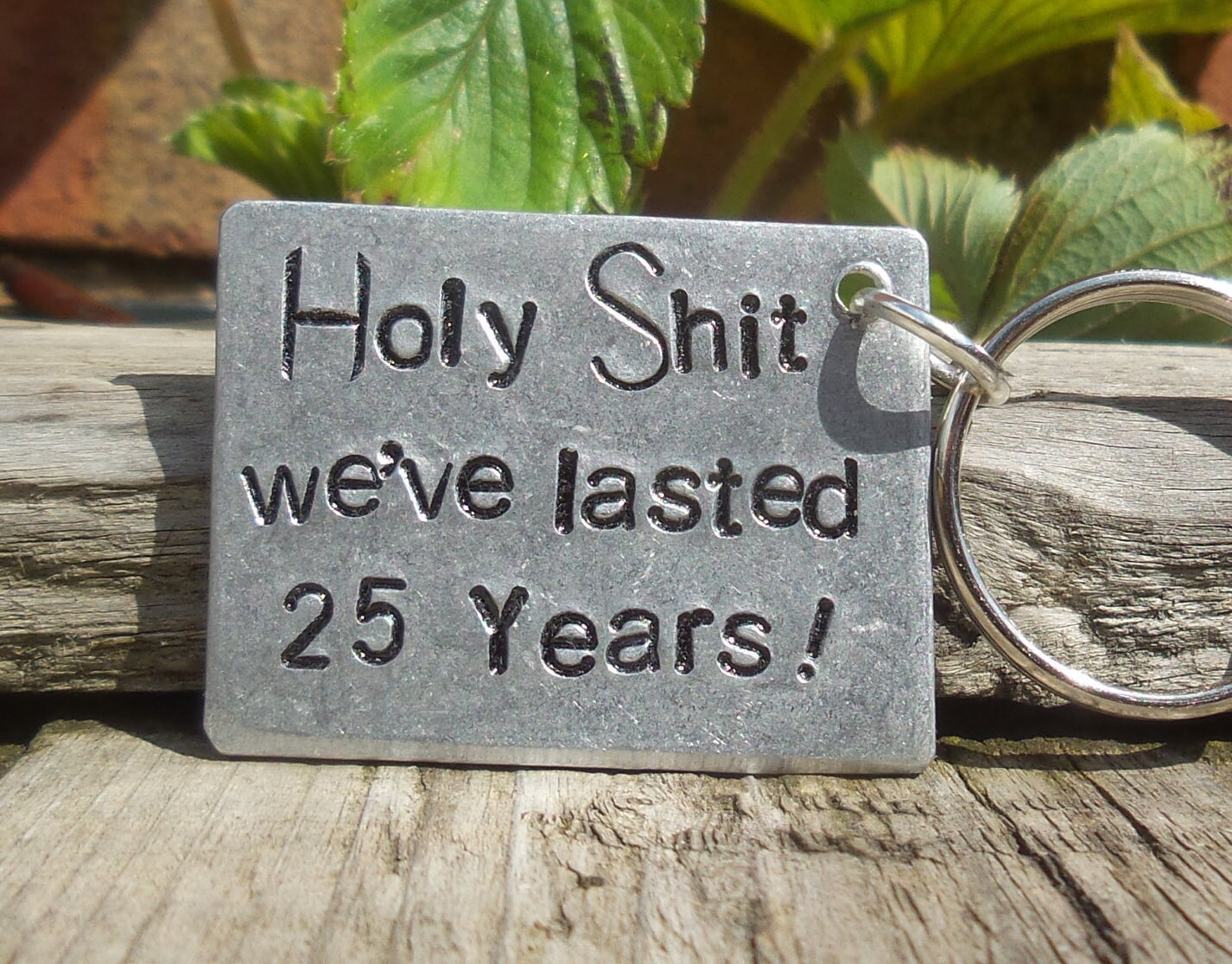 Holy Shit We've Lasted 25 YEARS 25th Year Wedding Anniversary Gifts Him