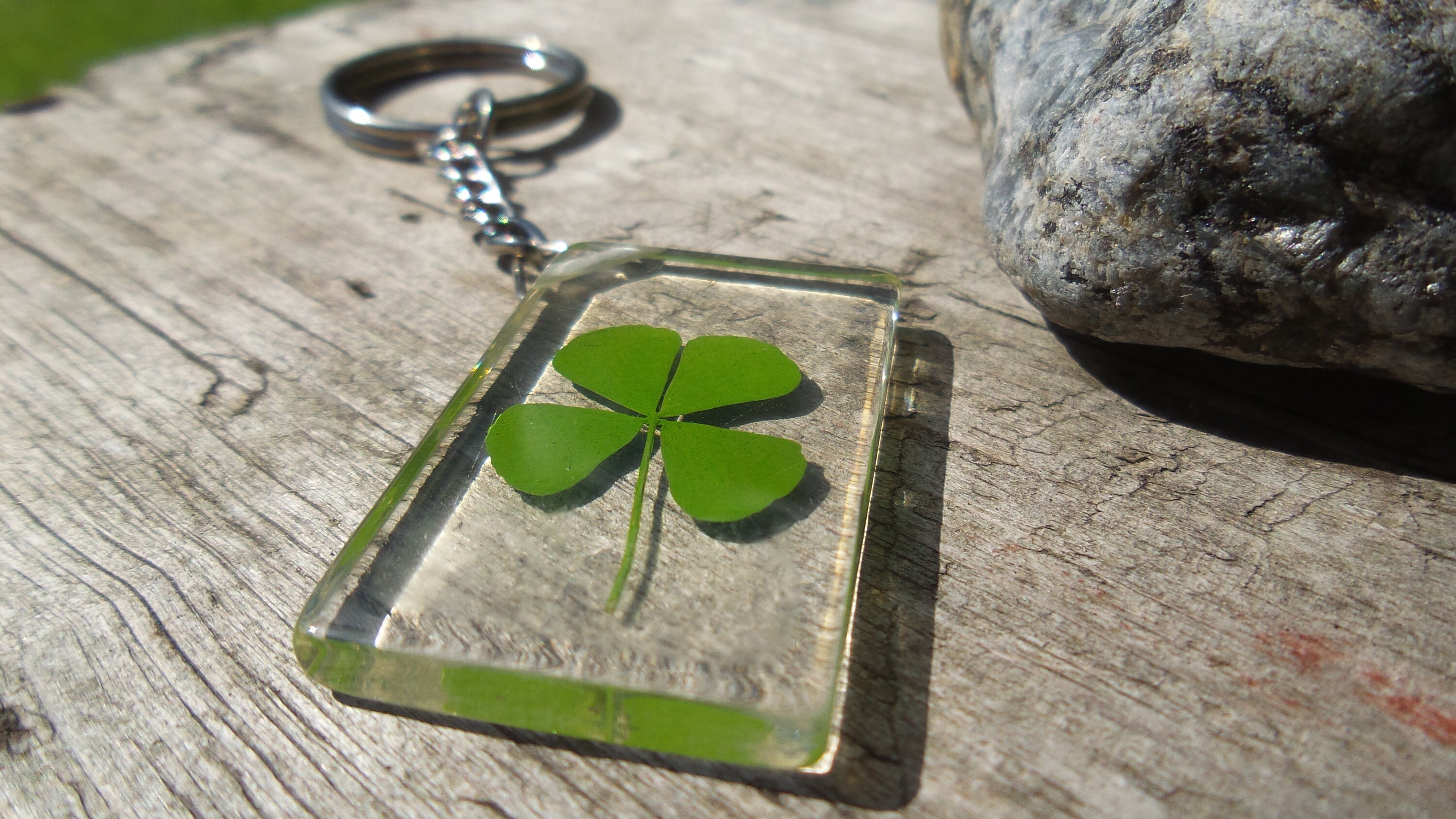 Real Four Leaf Clover Keyring Hand Picked Pressed And Set In Etsy Denmark
