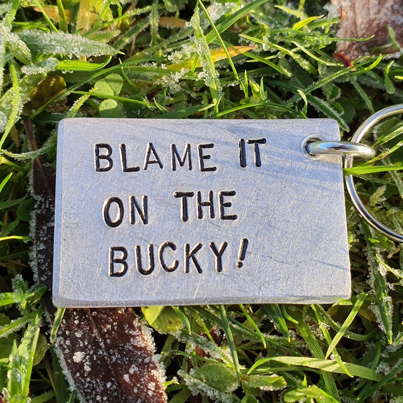 May include: A rectangular silver keychain with the stamped text "BLAME IT ON THE BUCKY!". The keychain is attached to a silver ring. The background is green grass with frost.