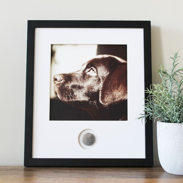 Pet Memory Frame | with Dog Tag | Frame with Pet Photo | Pet Loss Gift | DIY Frame Kit | Pet Sympathy | Dog Memorial | Pet Remembrance