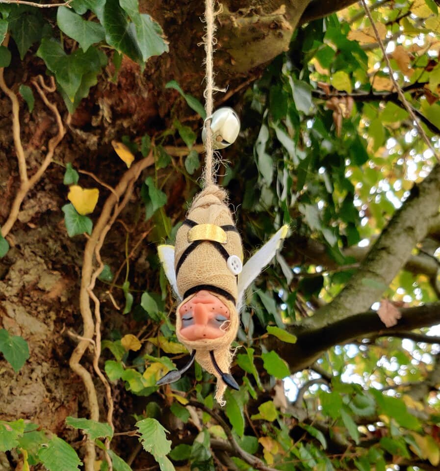 Moth Le Papillon de Nuit | Estigmene Acrea