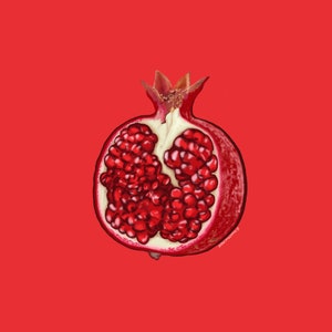 Pomegranate Painting Fruit Pop Art Fine Art Print image 4