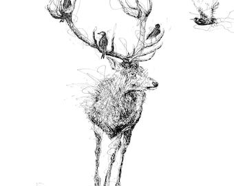 deer drawing etsy