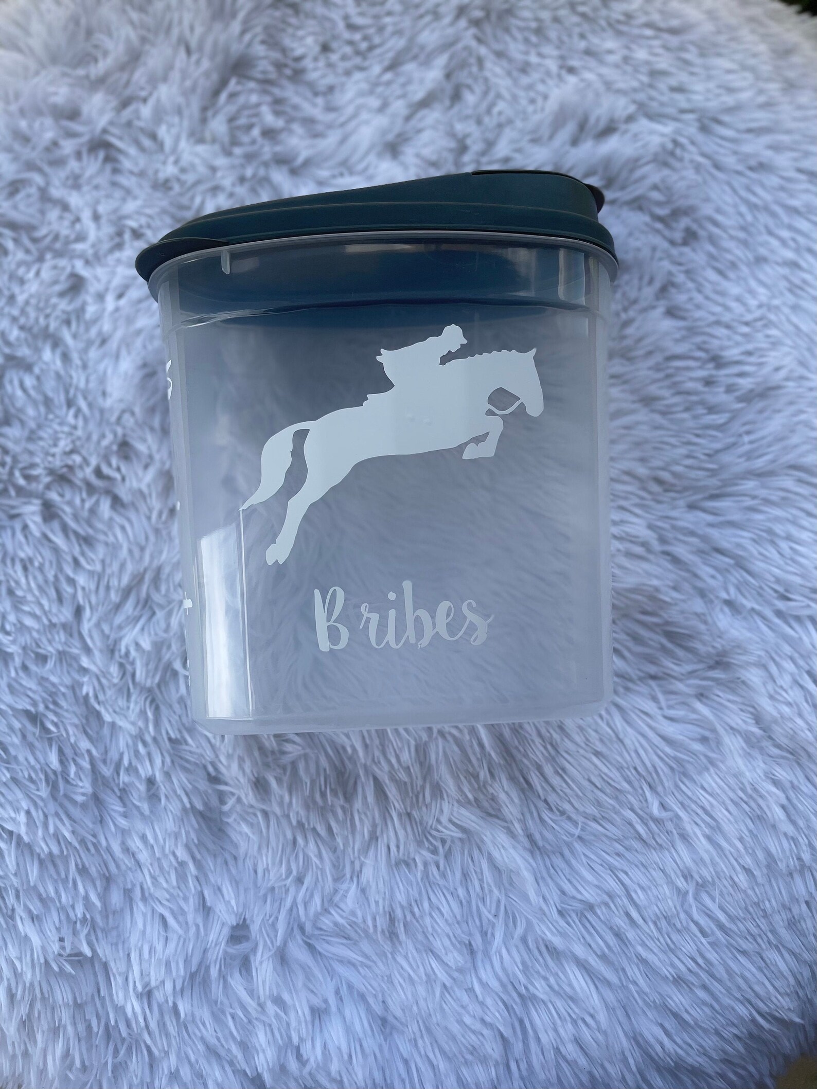 Customized Horse treat Container/Treat Container/Equestrian | Etsy