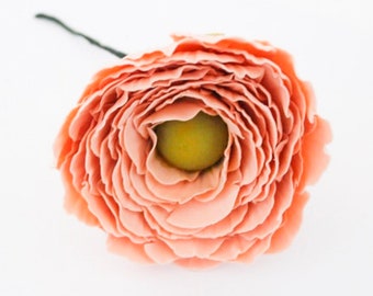 May include: A single, delicate, peach-colored ranunculus flower with a yellow center. The flower is in full bloom and has many layers of petals.