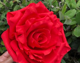 Llalible rosa flor topper alta calidad hecha a mano rosa rosa boda nupcial ducha regalo cualquier ocasión