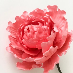 Edible Peony cake topper made out of sugar. Sugar flower for cakes