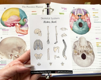 May include: A sticker sheet titled "Skeletal System" featuring illustrations of human bones. The stickers include a skull, rib cage, spine, and various other skeletal components. The sheet is held in front of a medical textbook with colorful anatomical diagrams.