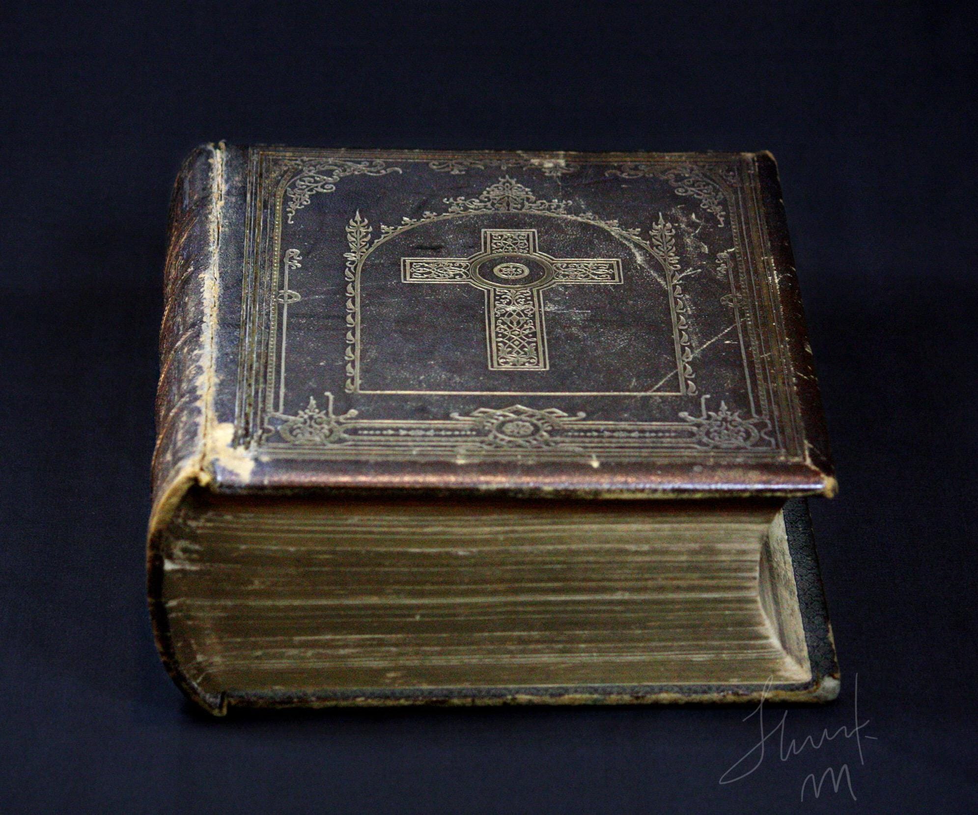 Antique Pre-1865 Highly Illustrated Douay Rheims Catholic