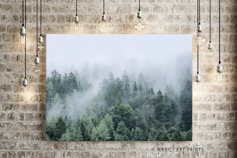 Forest Wall Art Forest Landscape Landscape Photography Etsy