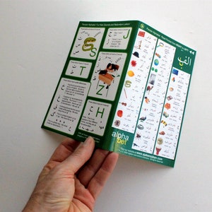 Pode incluir: Um guia de aprendizagem do alfabeto persa verde e branco. O guia está aberto, revelando ilustrações coloridas e texto em inglês e persa. A capa diz "Alfabeto Persa: Sons Novos e Divertidos e Letras Redundantes!"