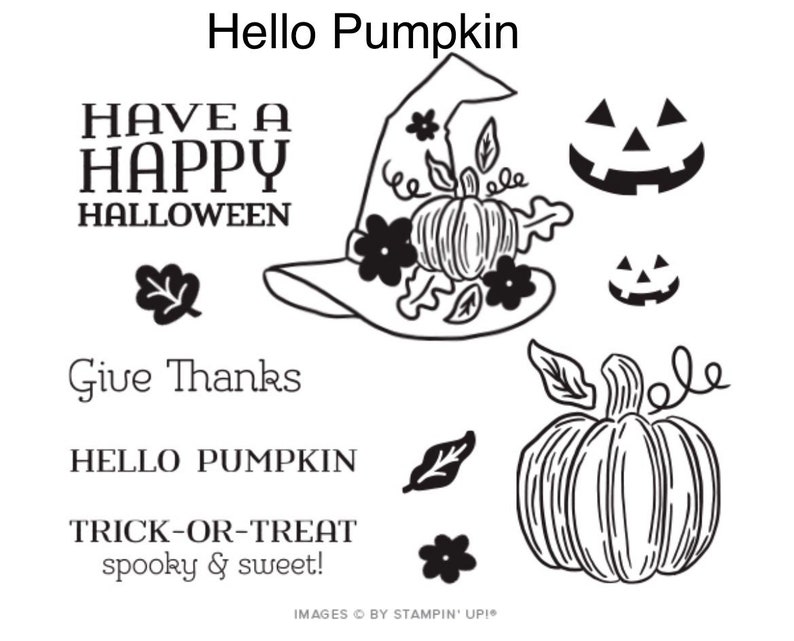 Paper Pumpkin Stamp Sets and Stampin Spots Etsy