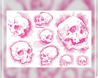 INTERNATIONAL ONLY // Skull Studies // 4x6in Matte Art Print