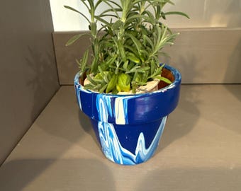 Mini succulent pot, hand painted