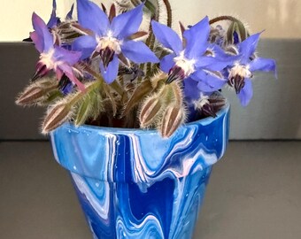 Mini succulent pot, hand painted