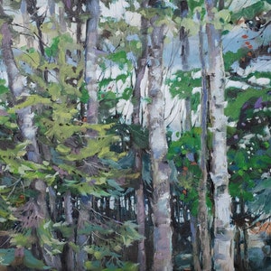 Sheila Romard original art - Lake Miskwabi - 10x10 oil on canvas***ready to frame***rustic, summer vibes view through the birches and pines