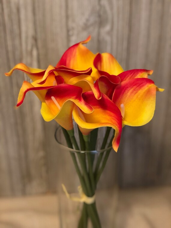 Real Touch Picasso Red Orange Calla Lily 10 Stems For Diy Etsy