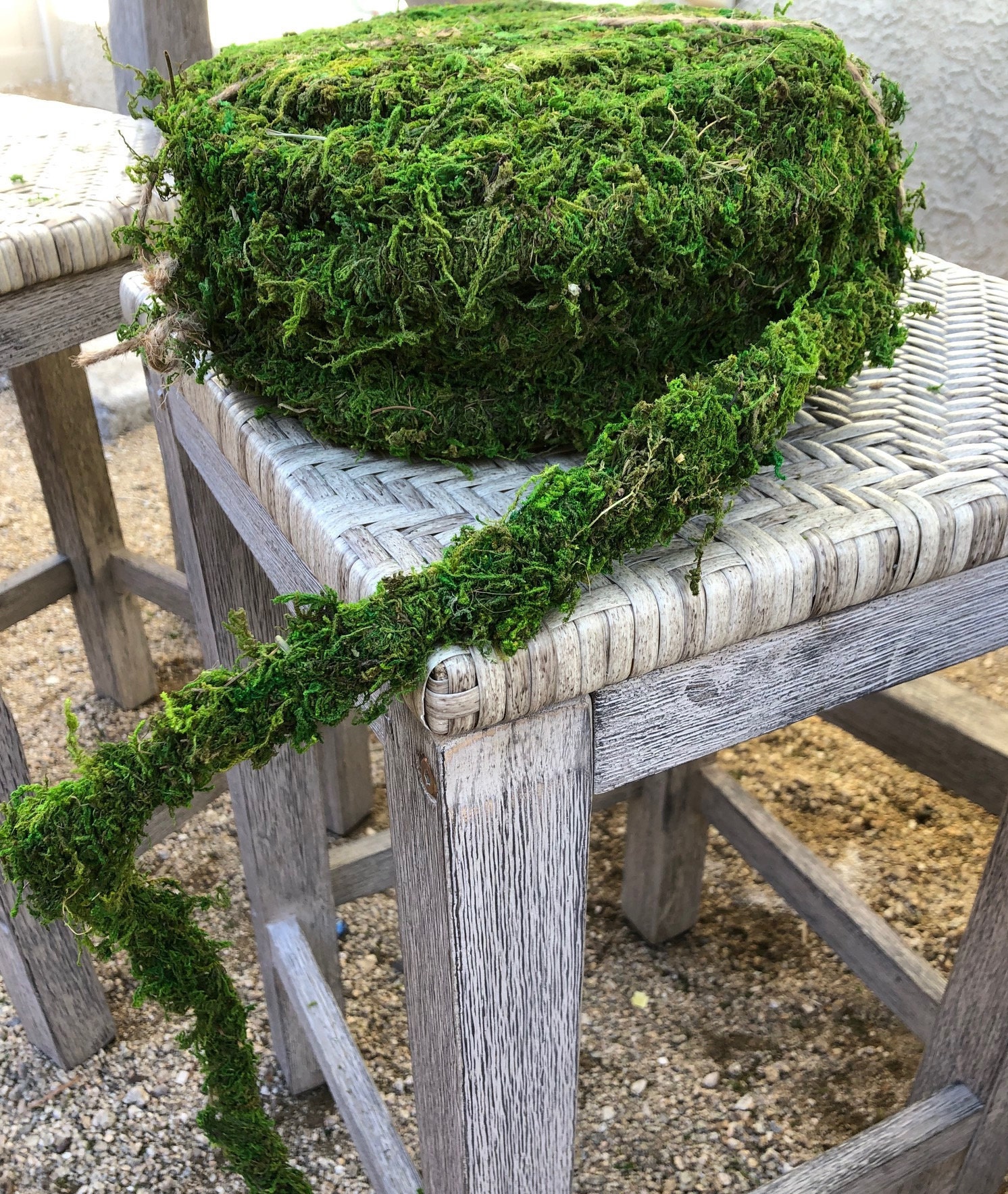 Moss Vine Garland For Trellis Decor Moss Wedding Decor Etsy