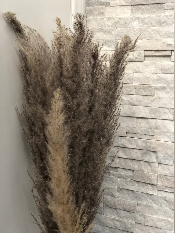 Diy Suspended Pampas Grass Wedding Decor 10 Pieces Pampas Etsy
