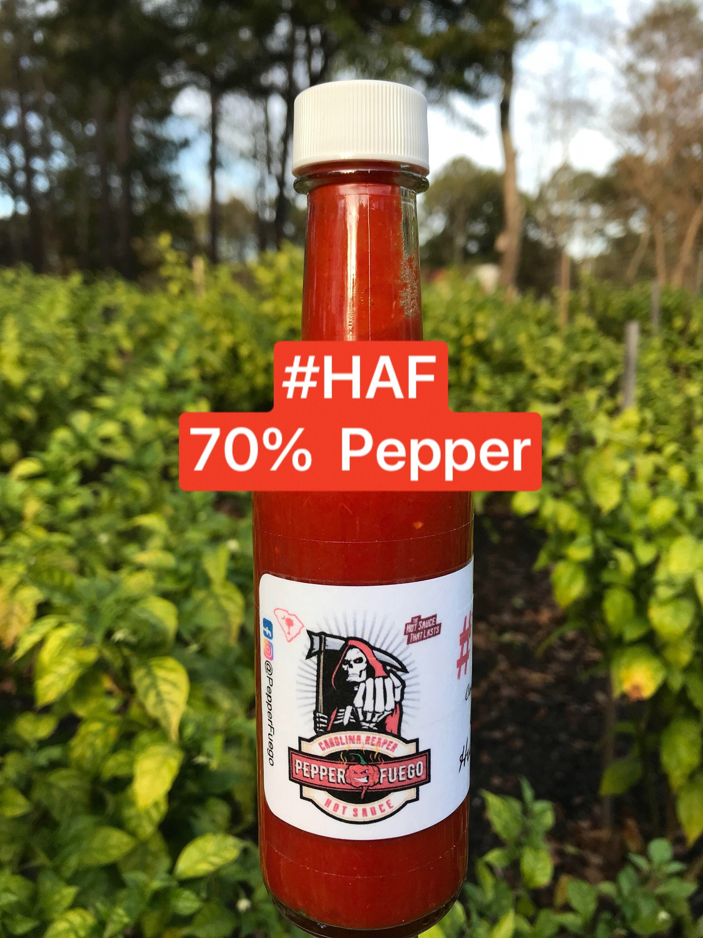 Pure Capsican Pure Capsaicin Sauce