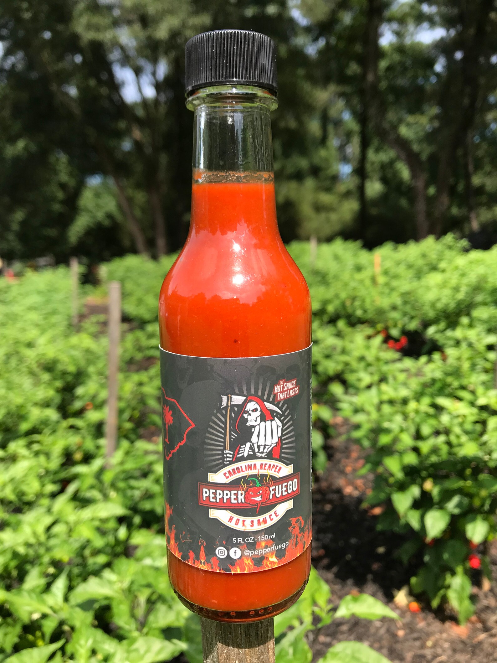 Carolina Reaper Hot Sauce 5oz 6 Million Scoville Units | Etsy