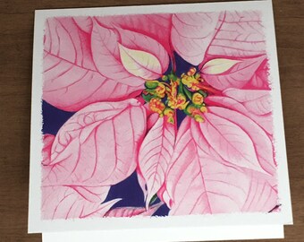 Biglietto per appunti quadrato Poinsettia - 5,25"x5,25"