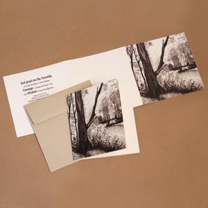 Cena da floresta - Chautauqua Creek - Oração da Serenidade - Quadrado de 5,25" - Cartão de três dobras - Cartolina de feltro texturizada