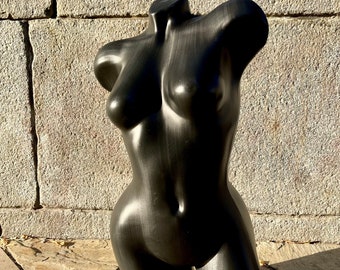 May include: A black plastic mannequin torso, with a smooth, glossy finish. The torso is positioned on a stone surface.