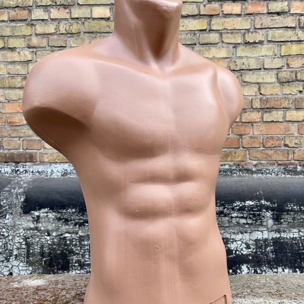 Beige Mannequin Stand Men Torso, 24”  Plastic Body