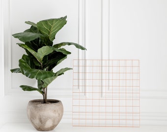 Rose gold grid/Vision board/Mood Board/Wall Decor