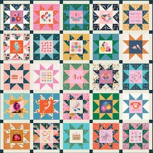Puede incluir: Un edredón de patchwork colorido con un patrón repetitivo de bloques en forma de estrella. Cada bloque presenta un diseño diferente, que incluye flores, mariposas e ilustraciones retro, en tonos de rosa, verde y naranja. El edredón está bordeado por una cuadrícula azul oscuro.