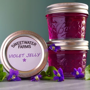 Farm Fresh Jams and Jellies - 4 Oz - Violet/Dandelion/Strawberry/Ghost Pepper/Pineapple-Mango Habanero/Honeysuckle & More!