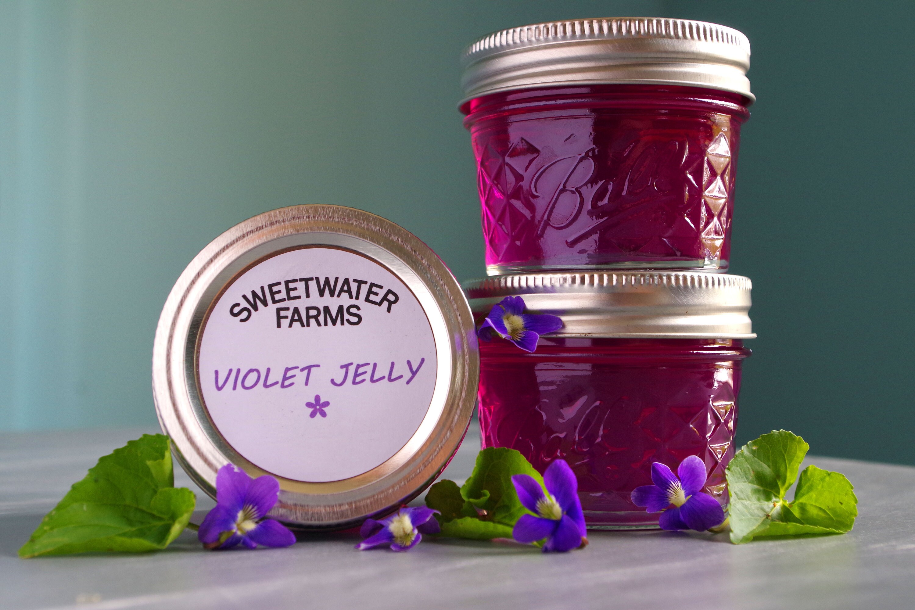 Farm Fresh Jams and Jellies 4 Oz Etsy.de