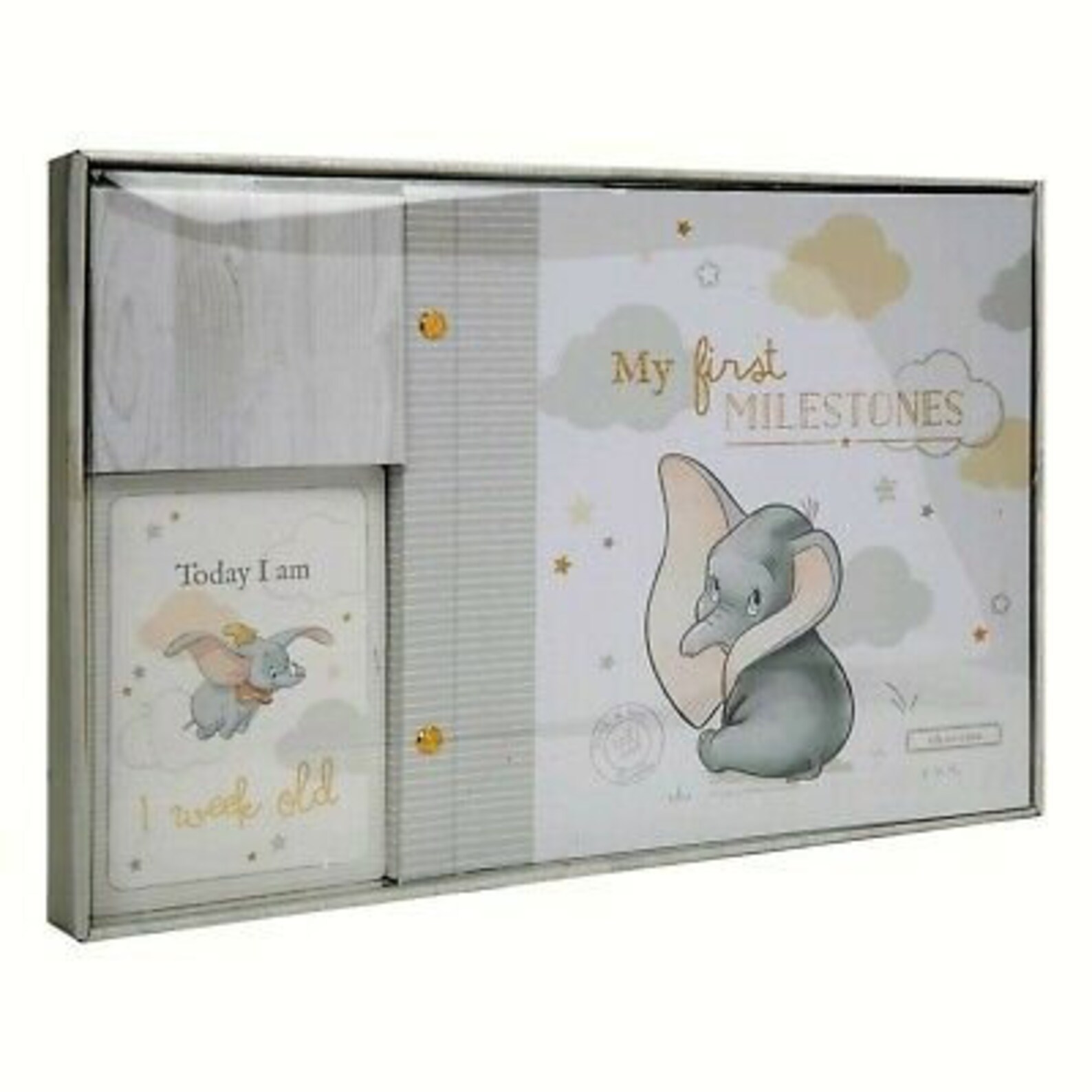 Dumbo Disney photo Album Milestone Card scrapbook Newborn Gift Etsy